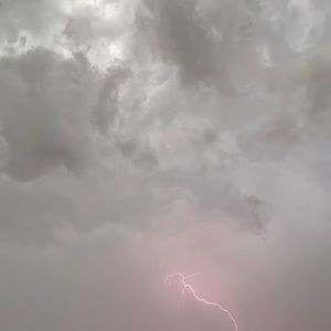 Meet your Posher, Annie